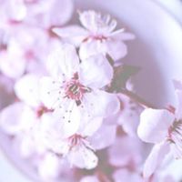 栃木県- ʚɞ 大人CLUB ʚɞ-