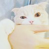 無料でクーポン配布