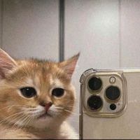 ขายของ