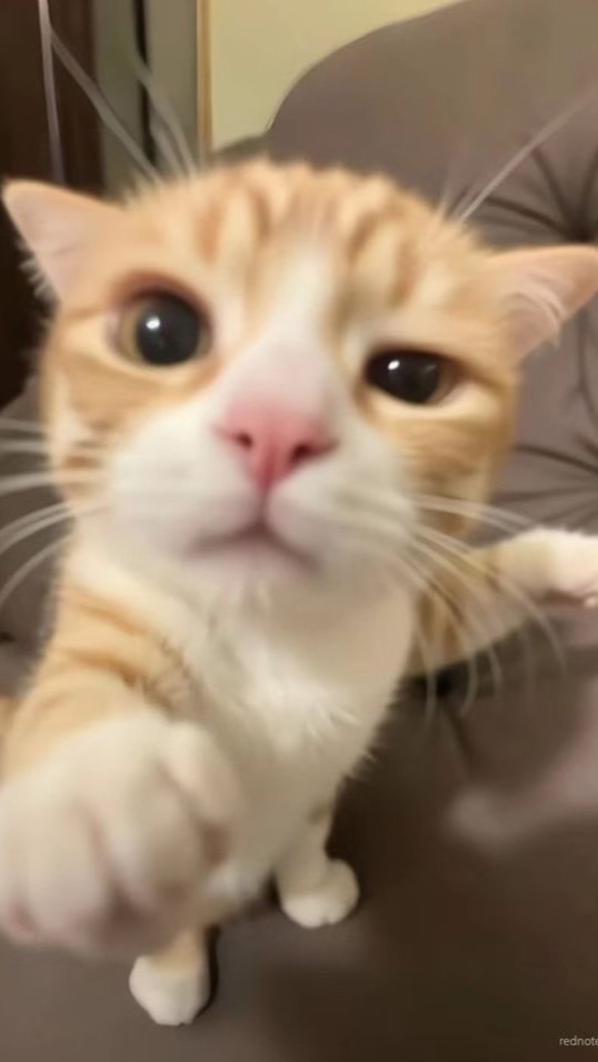 เรื่องชาวบ้านคืองานของเรา #นางงาม #ชายหล่อ