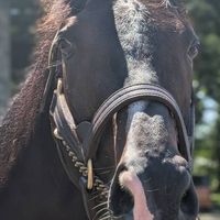 タイトルホルダー写真館