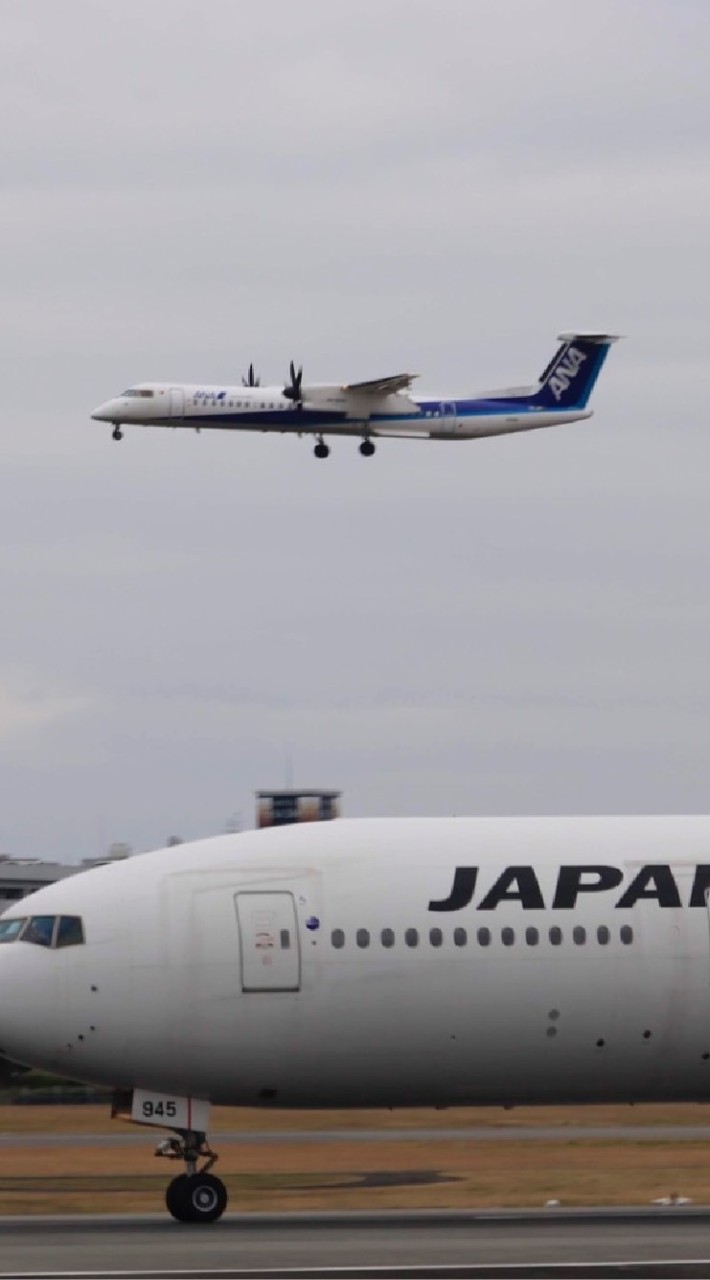 JAL (JGC) ✈️ANA(SFC) お得 旅行  コスパ 全国 旅行支援 マイル 特典航空券 他 OpenChat