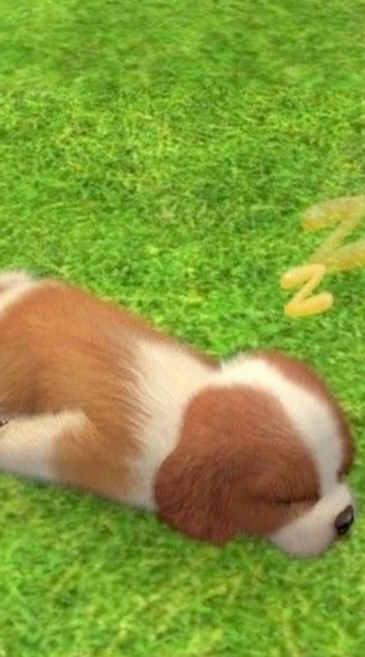 กินเลี้ยงปีใหม่