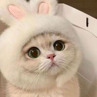 貞貞韭菜不服輸俱樂部(=ﾟωﾟ)ﾉ