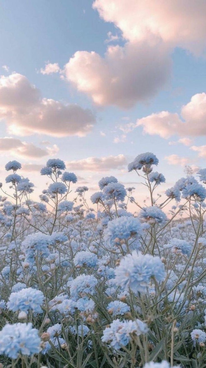 K-pop🧸內娛🕊️♥︎🍁雨墨初秋🍁♥︎芸臻&芸琦的合作群♡