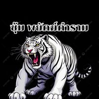 ซุ้ม พยัคฆ์คำราม (ธีรพงษ์ ฟาร์ม)