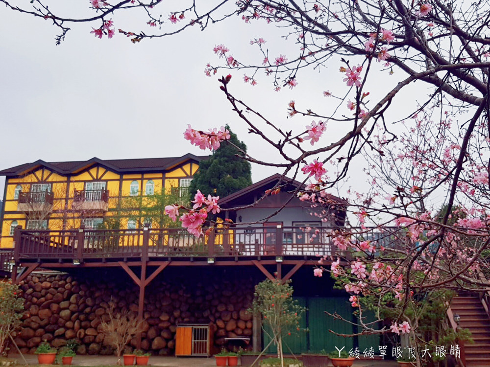 新埔普羅旺斯小木屋餐廳，超夢幻的雨滴蛋糕和草莓飲品，新竹賞櫻景點推薦！