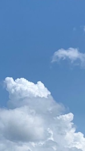 ความสุขของหนู