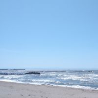 新潟ゆうこく連合【新潟3区】