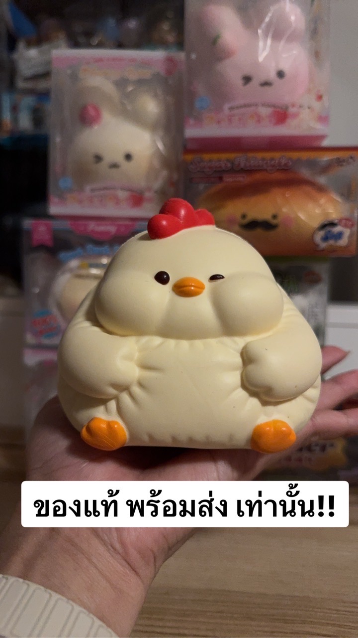 สกุชชี่พร้อมส่ง