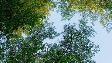 倪倪愛旅遊－『台中購物商圈推薦』台中在地人後花園小歐洲，綠意盎然異國購物散策－台中市大隆路商圈日韓、歐美私貨精品挖寶直擊分享