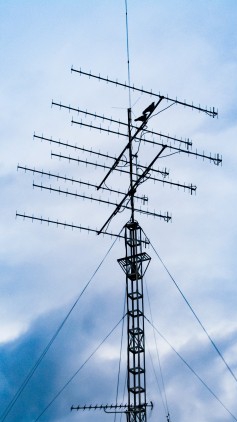 アマチュア無線 愛好会