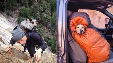 時下最流行的戶外活動 ：帶著自家心愛的狗狗去露營！
