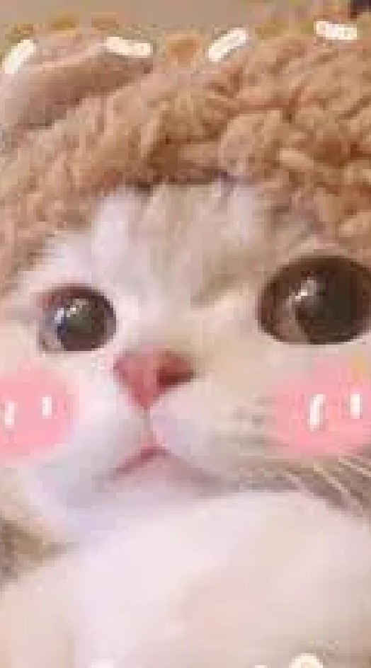 貓貓🐱狗狗🐶可愛家園🏡（寵物分享🐰🌈）