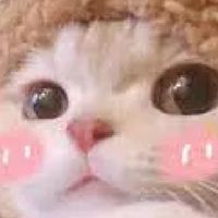 貓貓🐱狗狗🐶可愛家園🏡（寵物分享🐰🌈）