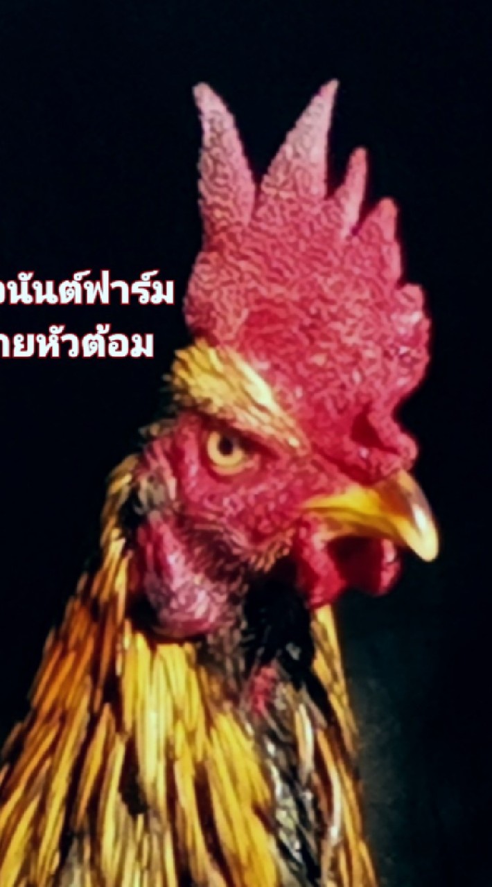 ต.โชค​อนันต์​ฟาร์ม