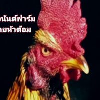 ต.โชค​อนันต์​ฟาร์ม