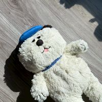 紫米斷捨離中⋯ ദ്ദി -᷅ ·̫ -᷄ )✧︎