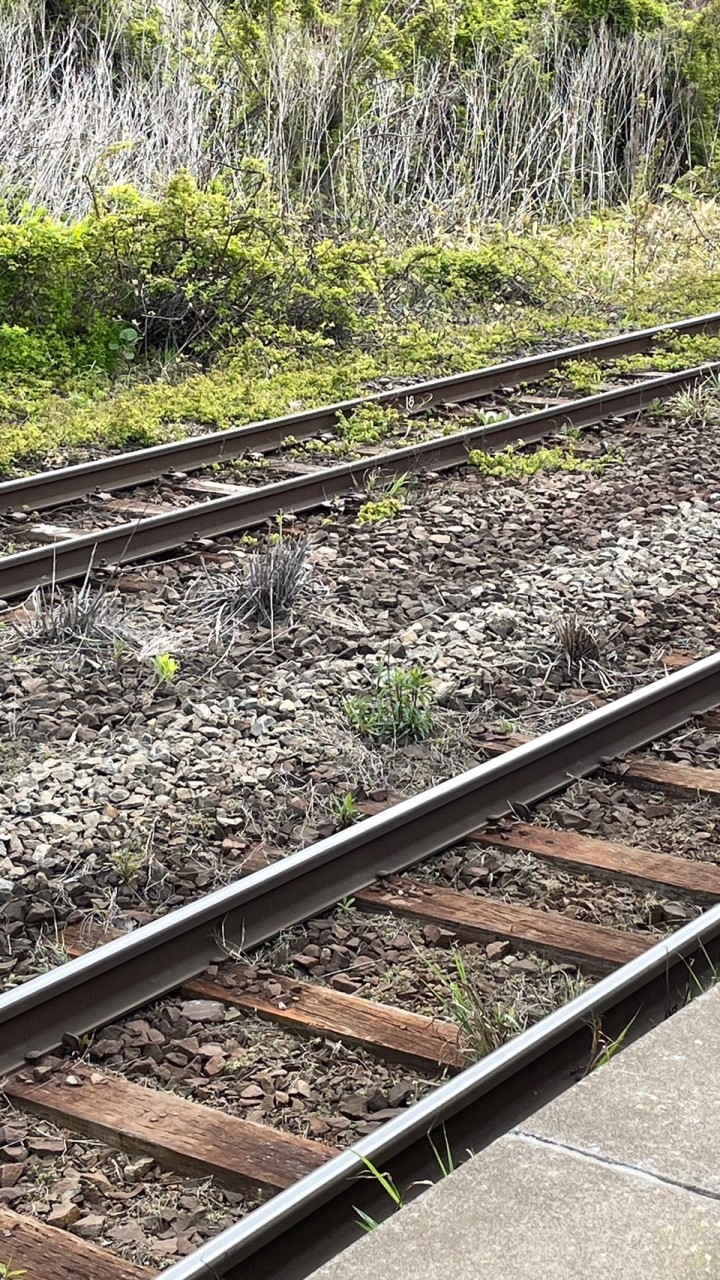 鉄道ゆる集会（初心者・知識ゼロでも大歓迎！）