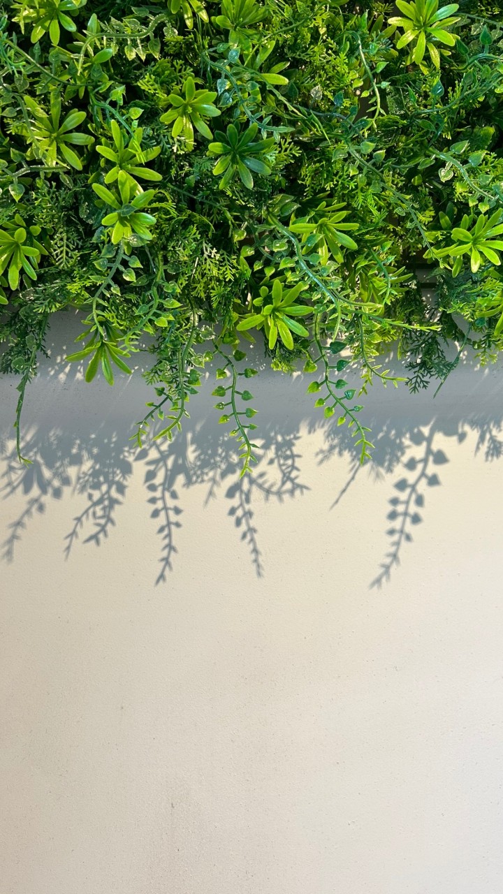 把生活拍成畫-手機攝影