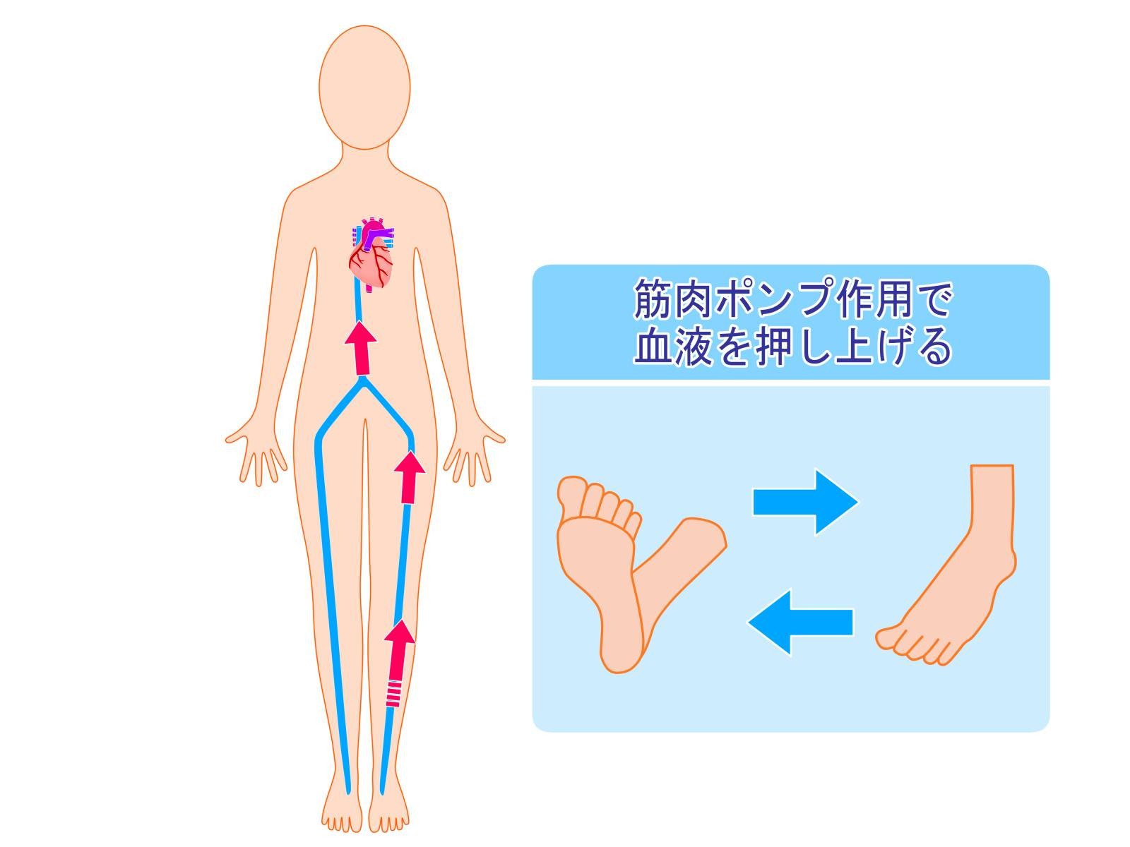 脇の下 ツボ 大包 痛い 脇の下 ツボ 大包 痛い Quangrojp