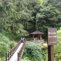 咪咪旅遊社群