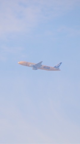 飛行機&航空ファン