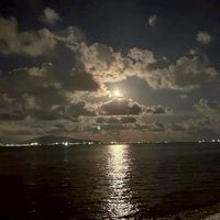 今日貴方に　。　／　虹桃緩也