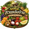 ผลไม้สวนหลังบ้าน