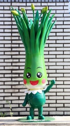 🛳️韭菜🌱變高麗菜🌴成長史📊😃