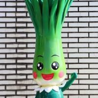 🛳️韭菜🌱變高麗菜🌴成長史📊😃