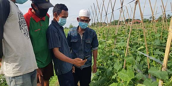 Peran Transformasi Komunikasi Digital Untuk Kemajuan Pertanian Indonesia Kompas Com Line Today