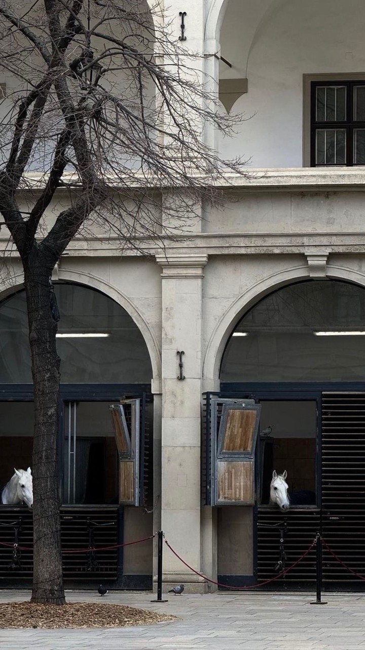 มาโรเพลย์กันเถอะ🥺🥺