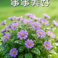 我們這一家（新社群）
