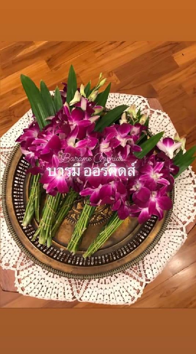 บารมีออร์คิดส์ กล้วยไม้เดลิเวอรี่