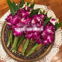 บารมีออร์คิดส์ กล้วยไม้เดลิเวอรี่