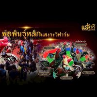 แสงระวีฟาร์ม
