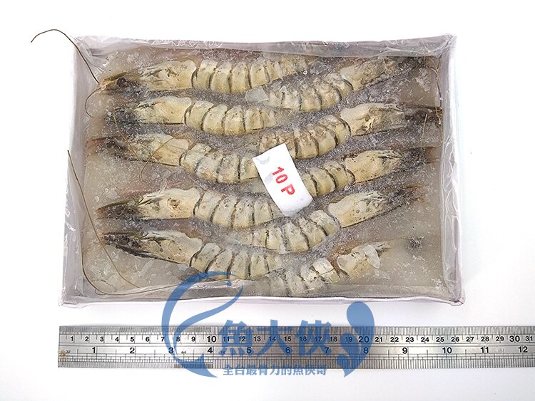 B3【魚大俠】SP061進口海草蝦 10尾裝(天使蝦白蝦草蝦泰國蝦甜蝦明蝦波士頓蝦龍可參考)