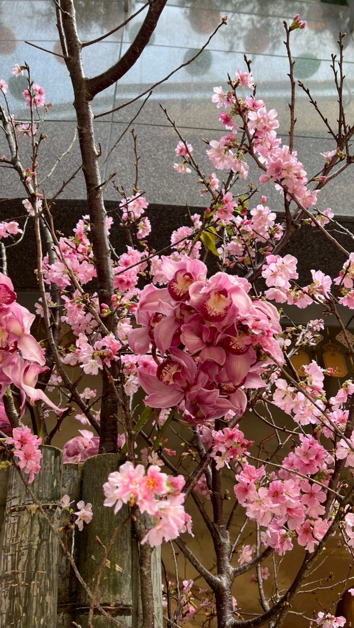 2026黎明「藝術行政管理」表演藝術系ㄧ丁