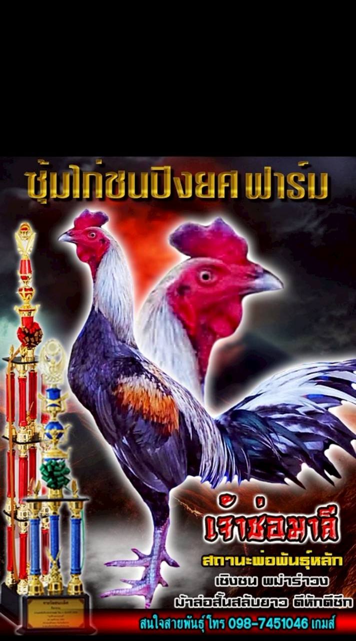 🏆ปิงยศฟาร์ม🏆🏅🐓