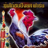 🏆ปิงยศฟาร์ม🏆🏅🐓