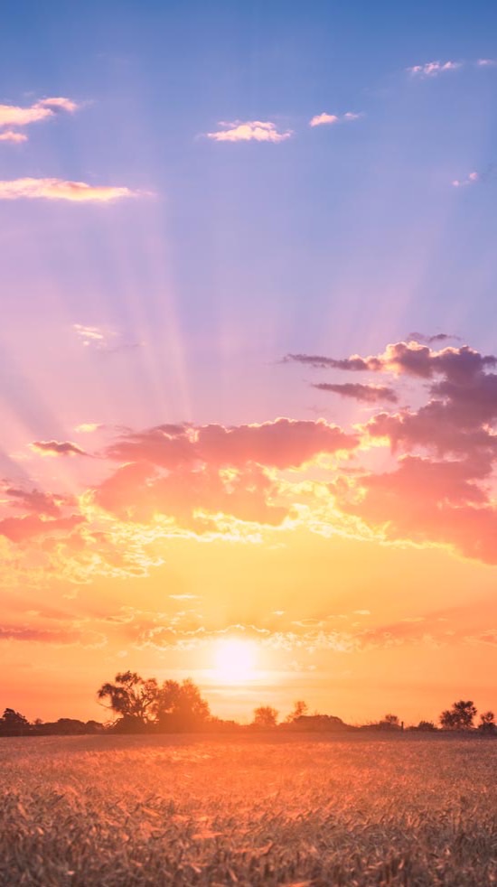 溫暖的夕陽