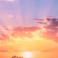 溫暖的夕陽