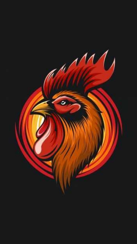 กูดูไก่