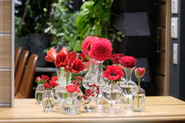 簡単おしゃれに 正月は迎春の花飾りを生けよう