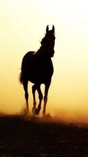 競馬予想ホースの部屋🐴のオープンチャット