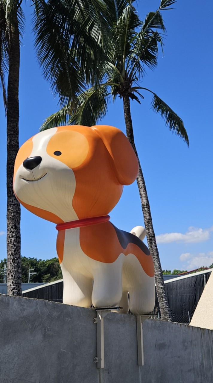 來中202