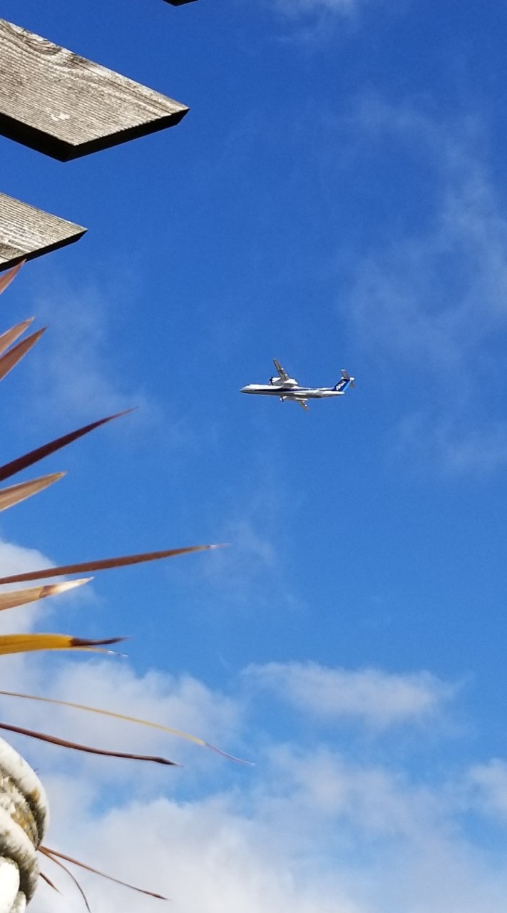 (無言)飛行機の写真だけ入れてって！