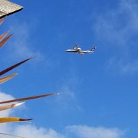 (無言)飛行機の写真だけ入れてって！