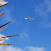 (無言)飛行機の写真だけ入れてって！